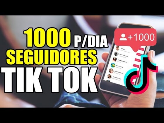 Como Ganhar Seguidores no TikTok Rápido 2024